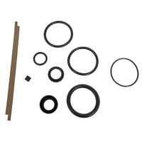 Fox 2.0 Rebuild Kit IFP & R/R