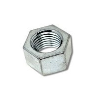 Swivel Hub Steering Arm Stud Nut Hilux Landcruiser