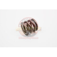 Diff Side Gear LSD Spring Rear Landcruiser 75 80