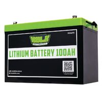 100Ah Lithium Battery Lifepo4 12V